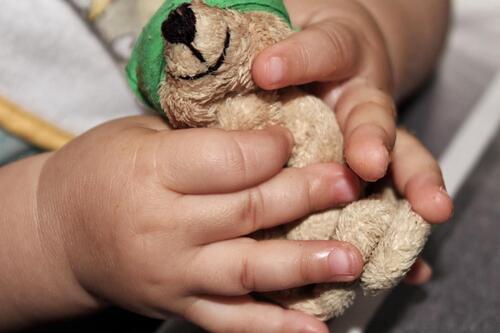 Kuscheltier