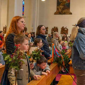 Palmsonntag / Foto Haijes Palmsonntag Pfarre Kirchdorf an der Krems