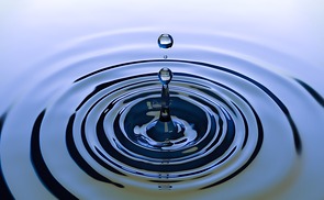 Laudato si'