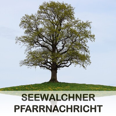 Pfarrnachricht Mai 2025