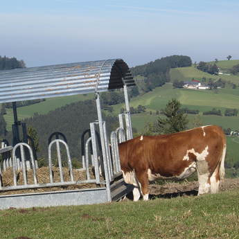 Die 10 Gebote der Gelassenheit