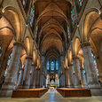 „Entwurzelung – die gefährlichste Krankheit“: Ausstellung im Linzer Mariendom / Erwin Wodicka - wodicka@aon.at „Entwurzelung – die gefährlichste Krankheit“: Ausstellung im Linzer Mariendom