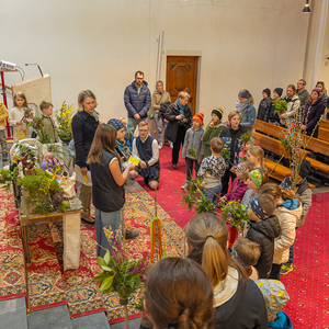 Palmsonntag / Foto Haijes Palmsonntag Pfarre Kirchdorf an der Krems