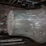 Turmfalken