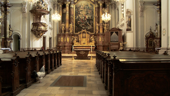 Das menschliche und das tierische Wesen, Ursulinenkirche Linz, 2009