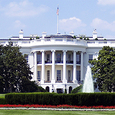 Pastoraltheologin Wustmans zeichnet düsteres US-Stimmungsbild nach Trump-Wahl / © Pexels / www.pixabay.com / CC0 1.0 Pastoraltheologin Wustmans zeichnet düsteres US-Stimmungsbild nach Trump-Wahl
